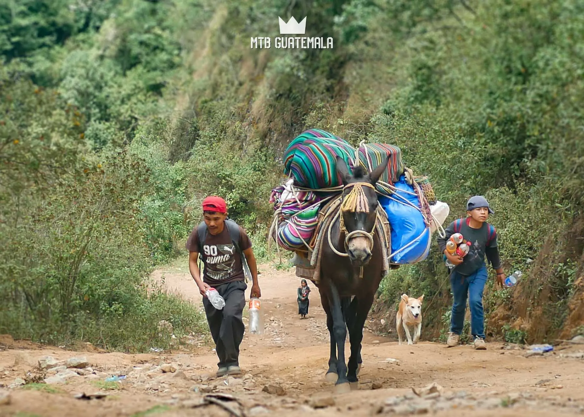 Moving supplies in the steep mountains of Nahualá, Guatemala (2789.7 m)
