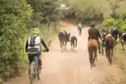 Road traffic in rural Guatemala. Valle Escondido Adventure MTB Tour  Chimaltenango, Guatemala