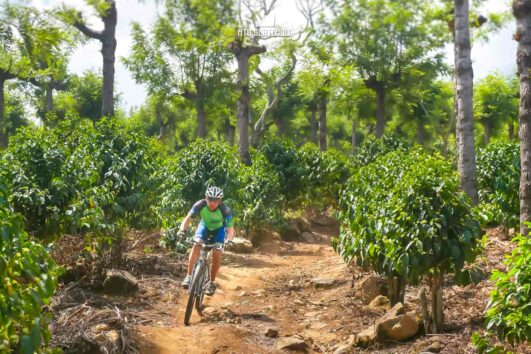 Los Nisperos Mountain BIke Tour Antigua