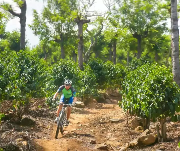 Los Nisperos Mountain BIke Tour Antigua