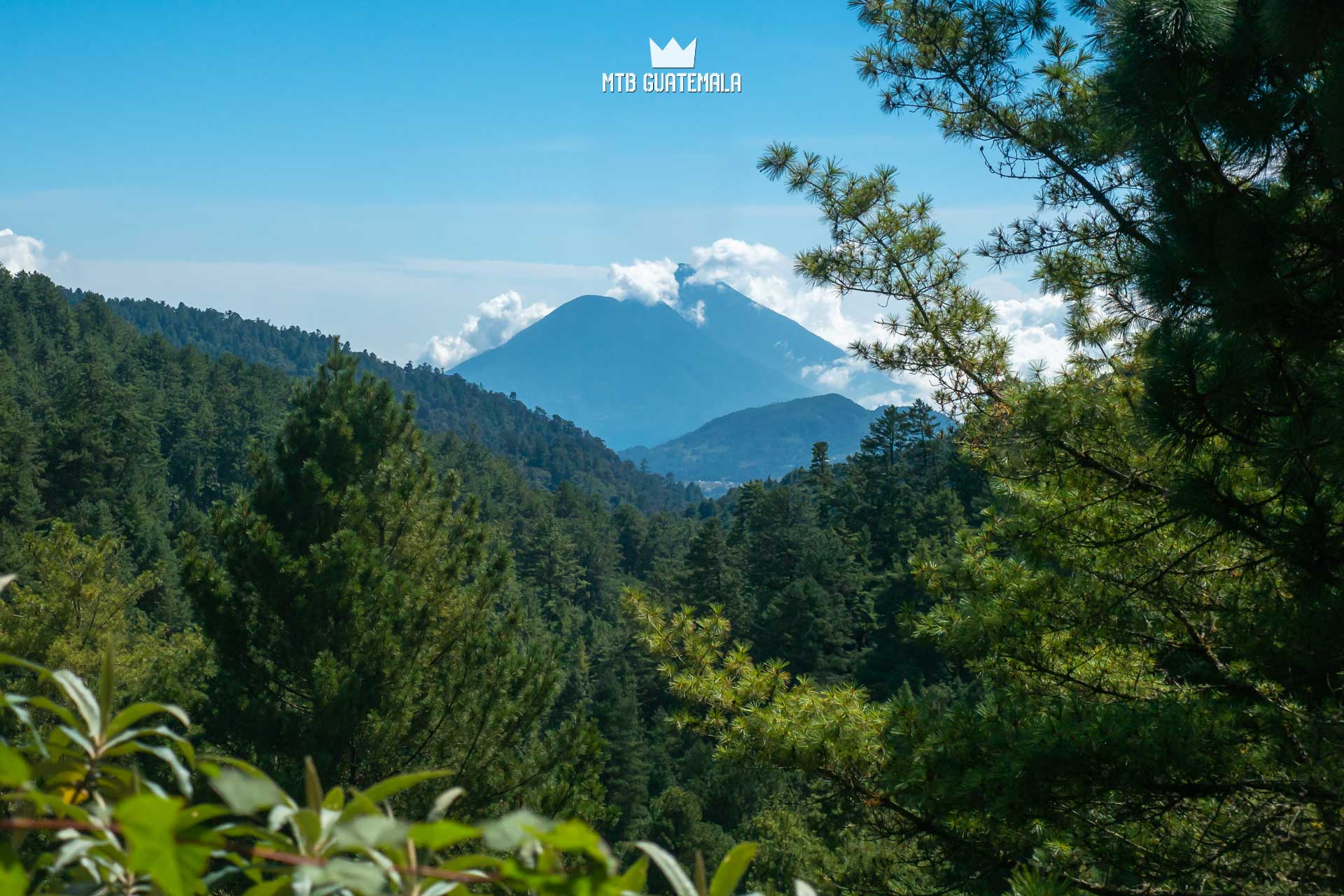 Communal forest of the 48 Cantones