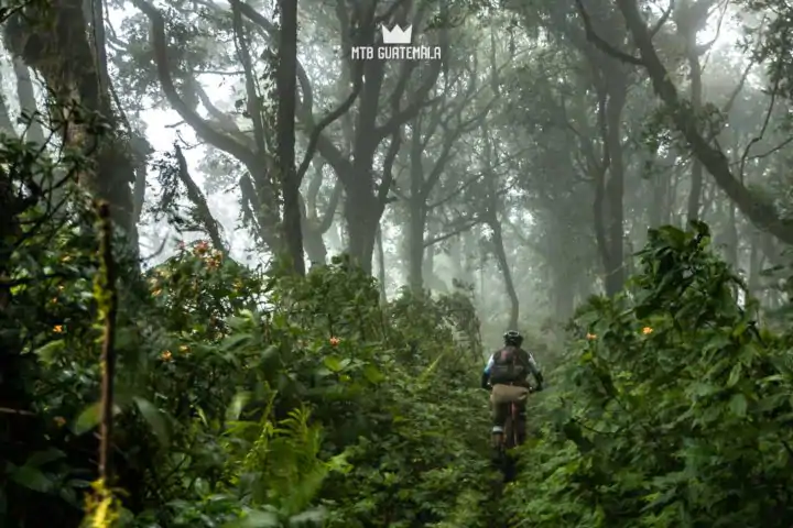 Rich cloudforest near 9,000ft. Valle Escondido Adventure MTB Tour.  Chimaltenango, Guatemala