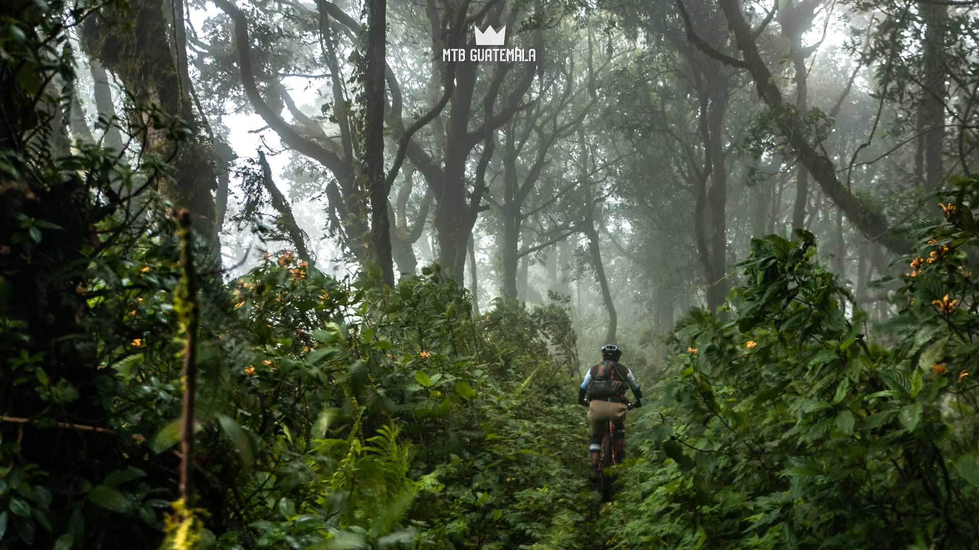 Rico bosque nuboso cerca de 9,000 pies. Tour de aventura en MTB Valle Escondido. Chimaltenango, Guatemala