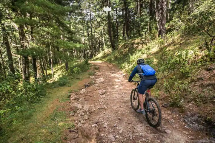 Communal forest of the 48 Cantones