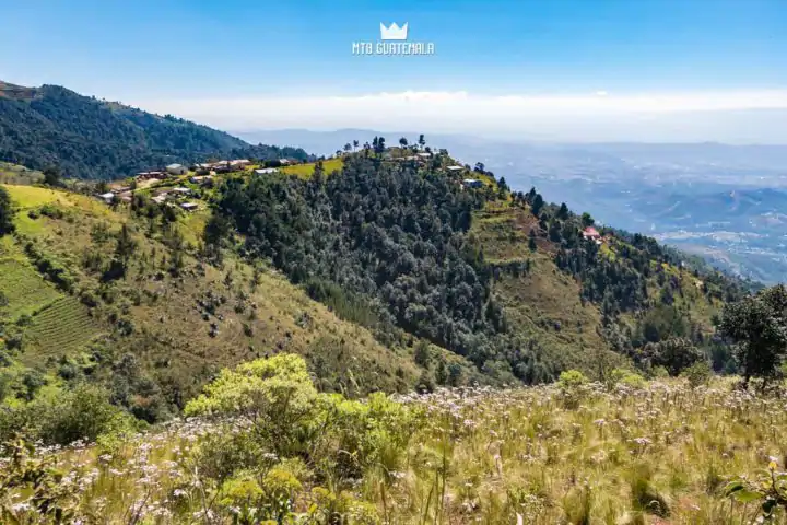 Fields of wildflowers near 10,000ft - 9th edition of the Travesía de Los Cuchumatanes.  Huehuetenango, Guatemala