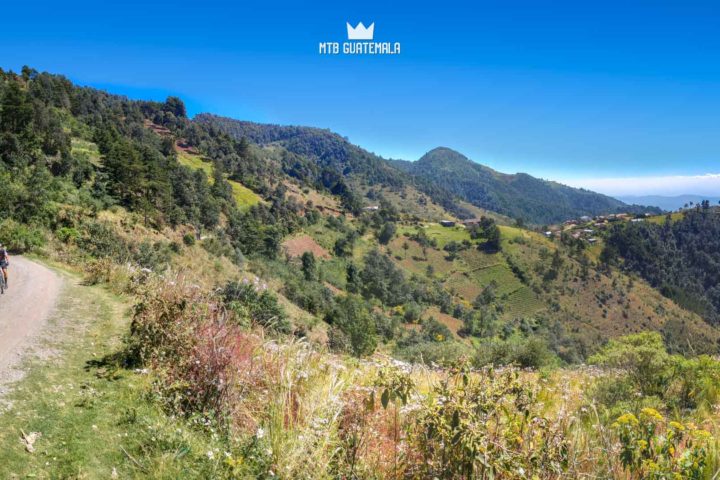 Fields of wildflowers near 10,000ft - 9th edition of the Travesía de Los Cuchumatanes.  Huehuetenango, Guatemala