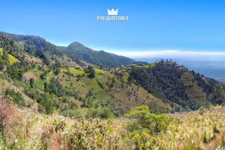 Fields of wildflowers near 10,000ft - 9th edition of the Travesía de Los Cuchumatanes.  Huehuetenango, Guatemala