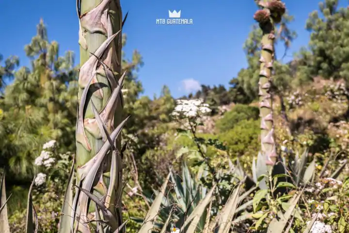 Huehuetenango, Guatemala