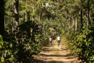 Tour en bicicleta por el café de Antigua Antigua Sacatepéquez, Guatemala