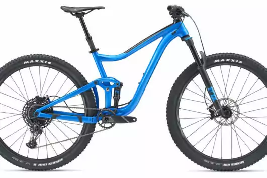 2019 Giant Trance 29er Bike Rental