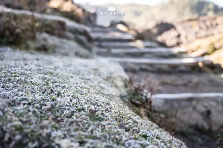 Frost in the Cuchumatánes mountains Los Cuchumatánes , Guatemala
