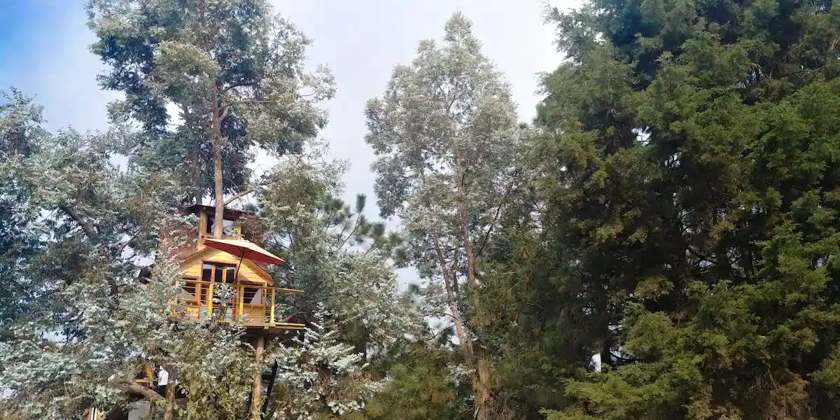 nicks-treehouse-01