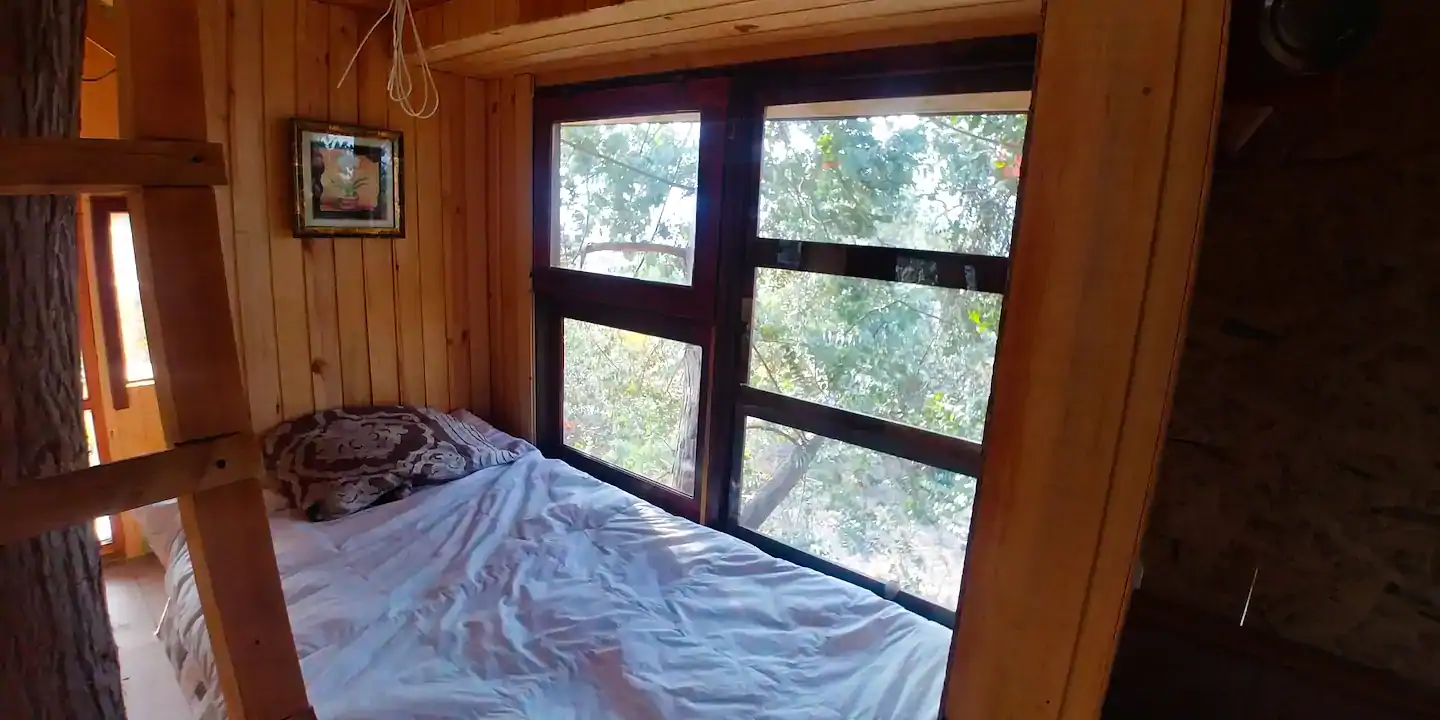 nicks-treehouse-02