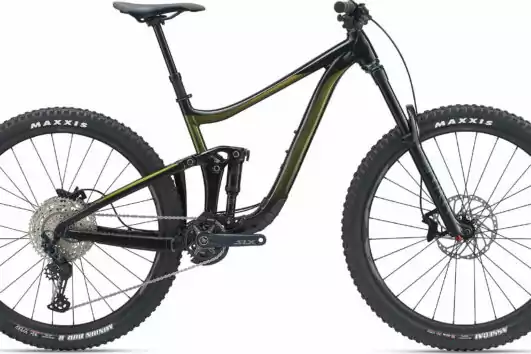 2022 Giant Reign 29er Bike Rental