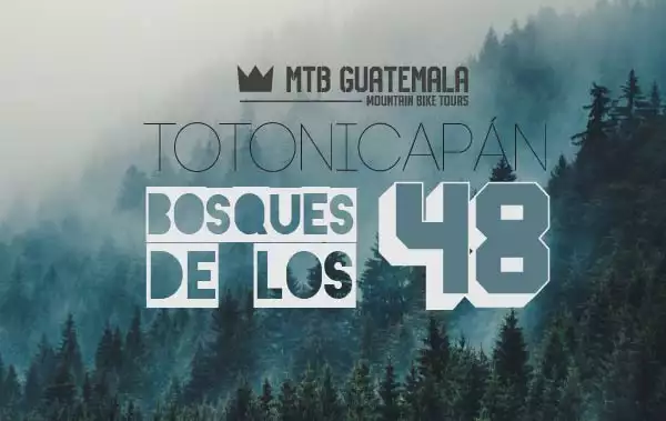 BOSQUE DE LOS 48 CANTONES