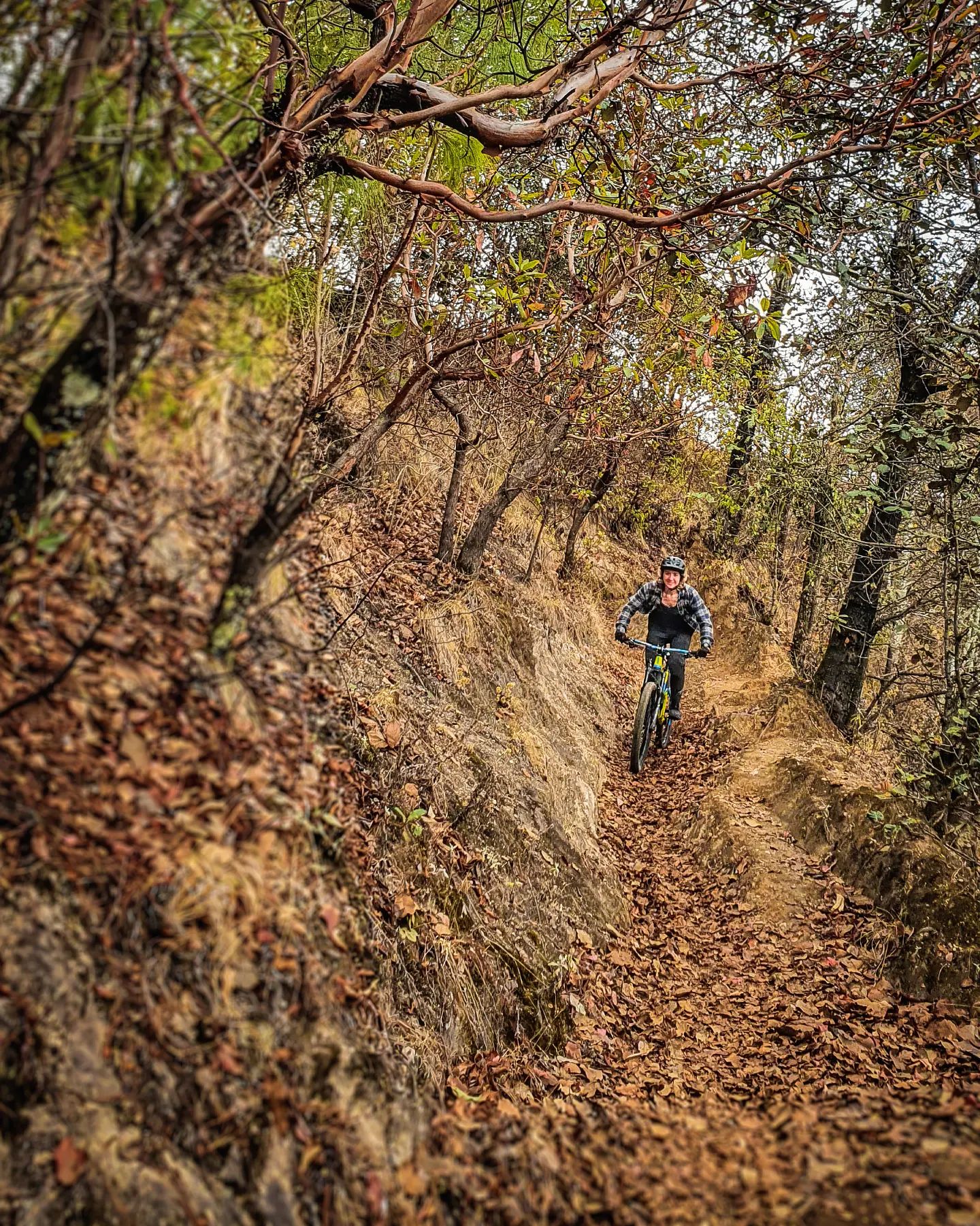 Explorando nuevas rutas, conociendo nuevos lugares! 
Desde lo alto del Cerro Tecpán hasta la profundidad en los cañones, la diversidad de Guatemlaa es increíble 🇬🇹

Próximamente estaremos anunciando las nuevas fechas!

#Guatemala #mtbtours #mtbguatemala #enduro #exploraguate #mtbtravel #mountainbikeguatemala #tecpan #biketravel #bikelife #adventuremtb #biketour #mtbguide #freedomontwowheels #naturaleza #visitguatemala