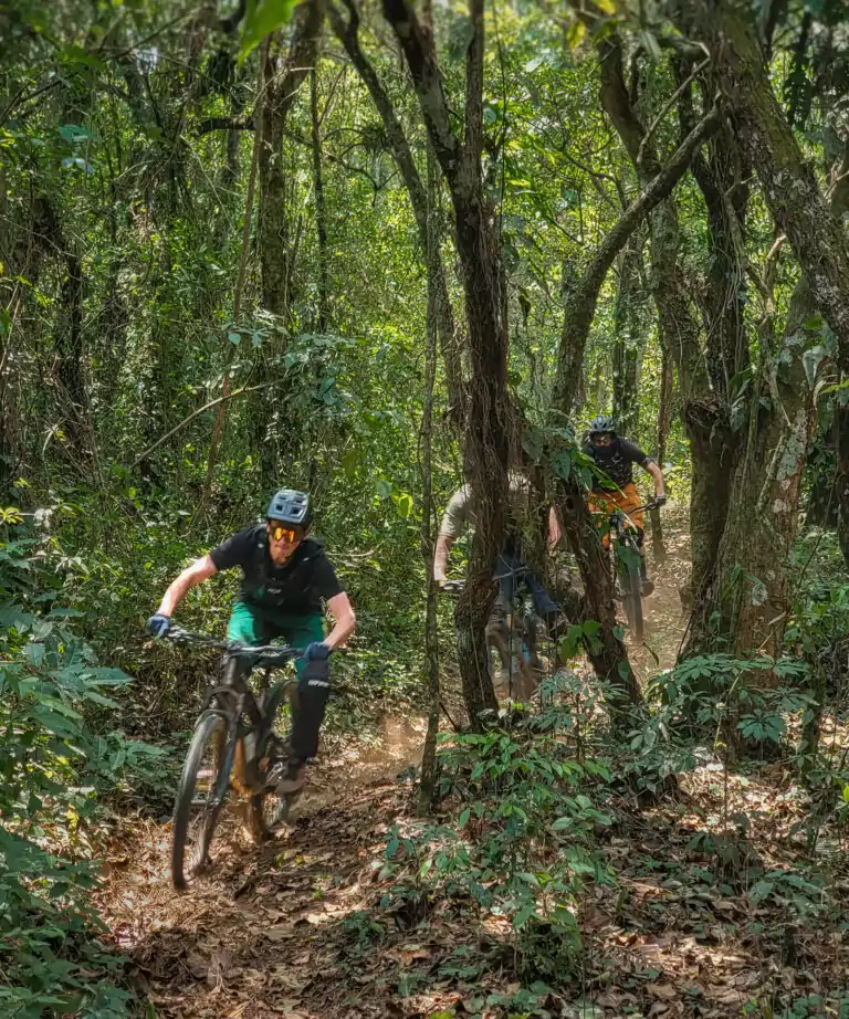 18 de mayo - Carmona Bike Park