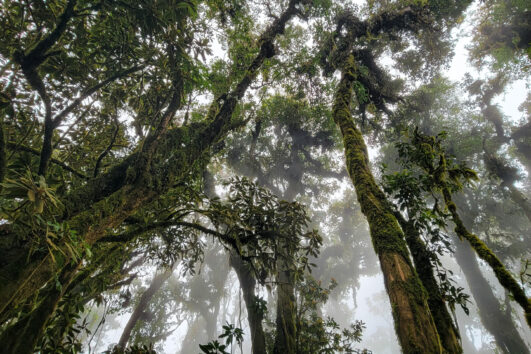 Mar 25th - Cerro Cucurucho XC Tour Antigua