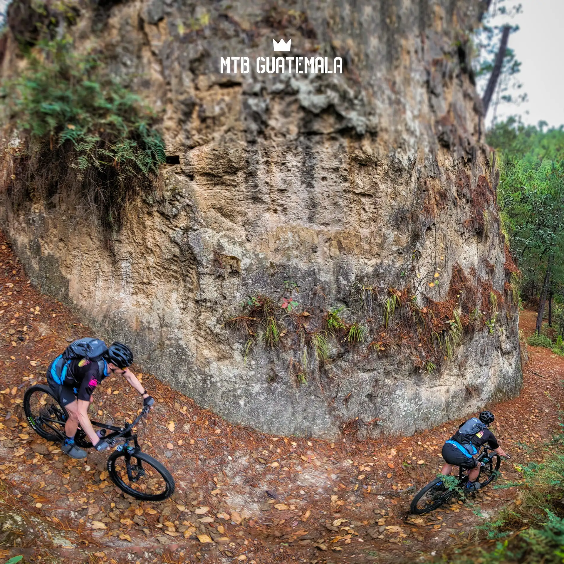 eBike Rental